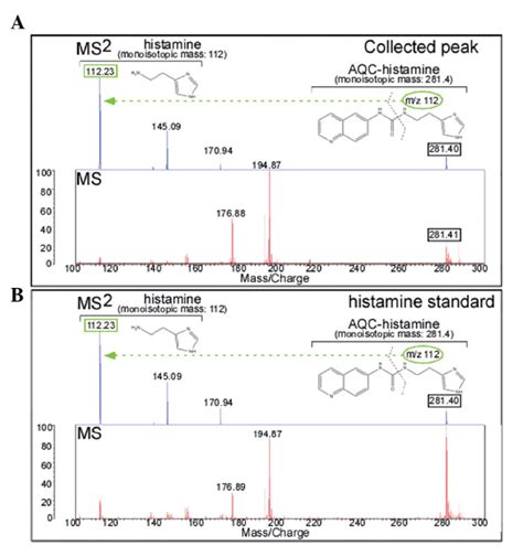 Molecular Identification Of The Aqc Ha With Maldi Qit Tof Ms A