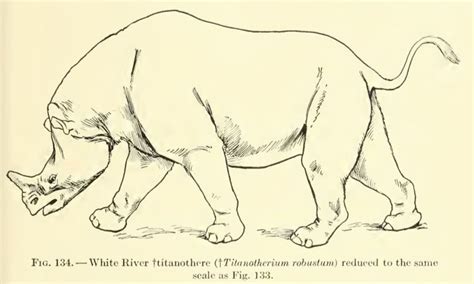 Titanotherium Prehistoria