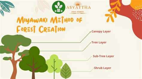 Miyawaki Method Of Afforestation Asvattha