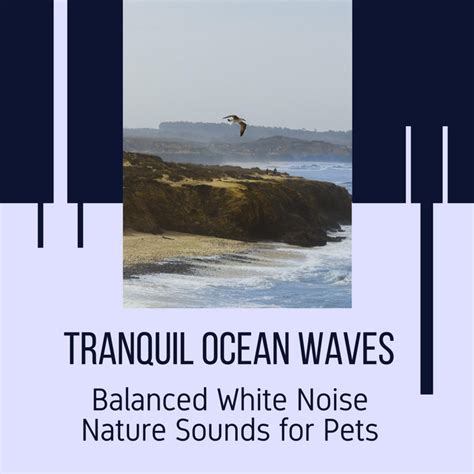 Tranquil Ocean Waves Balanced White Noise Nature Sounds For Pets