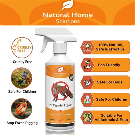 Fox Deterrent And Repellents That Actually Work - Bon Accord