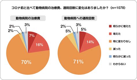 【ペット調査2022】ペットとのライフスタイルに関する調査を実施 Newscast