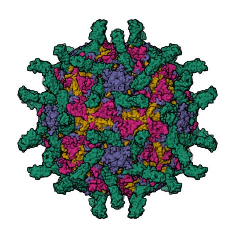 Rcsb Pdb 3epd Cryoem Structure Of Poliovirus Receptor Bound To