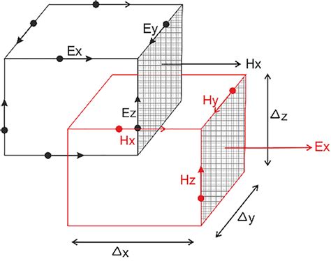 Vector component of electric field and magnetic field [Color figure can ...