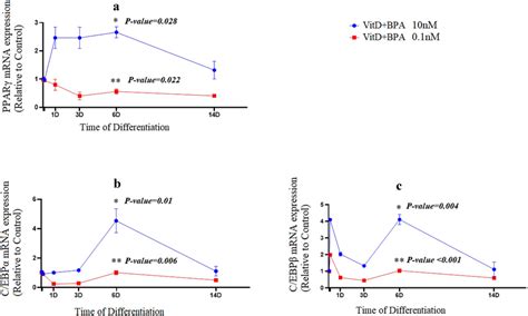 Vitamin D Plus BPA Modulates The MRNA Expression Of Adipogenic Marker