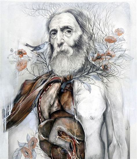 Nunzio Paci Anatomy Art Nunzio Paci Medical Art