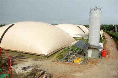 Wow Limbah Kelapa Sawit Jadi Energi Terbarukan Biogas Aktual