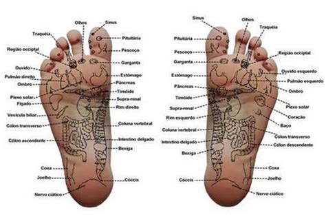 Reflexoterapia Podal Instituto Sarkis