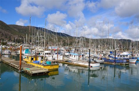 Photo Of Garibaldi Harbor By Photo Stock Source Boats Garibaldi