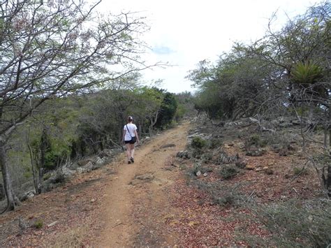 The Surprisingly Enjoyable Hiking Trails of Antigua