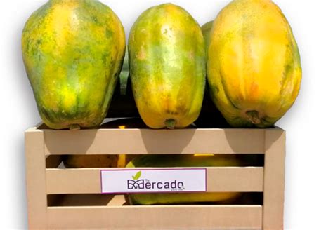 Cuánto engorda la papaya Todo Engorda