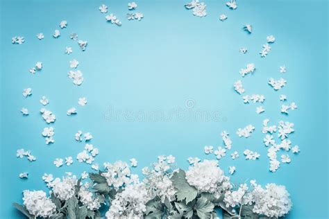 Pastel Flowers Blooming with Petals Frame on Blue Background Stock Image - Image of garden ...