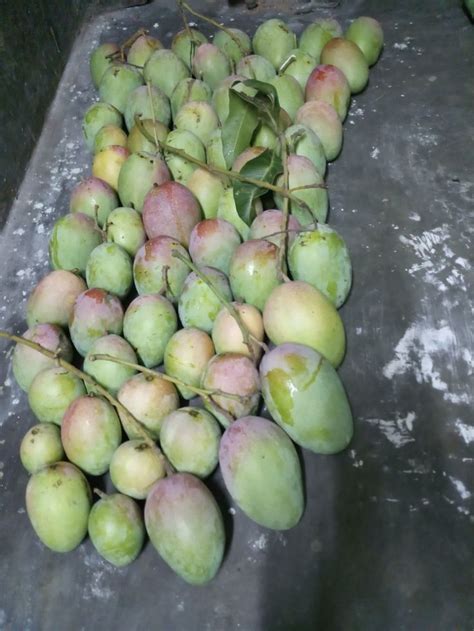 Pin By Bablu Mandal On Mng Food Fruit Apple