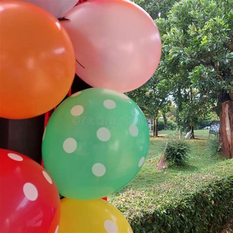 Colorful Balloons for Decorating Birthdays, Parties, Outdoor ...