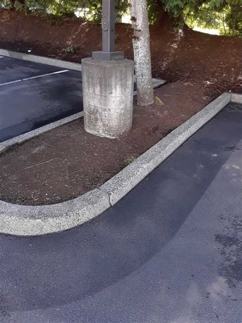 curb  curb appeal snugs services