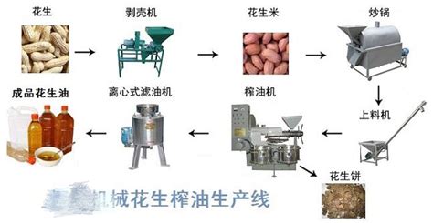 Palm Oil Machine Peanut Oil Production Process