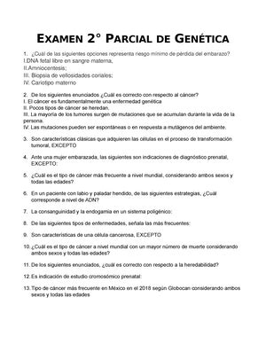 Formaci N De La Cara Formaci N De La Cara Procesos Importantes