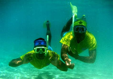 Diving In Samoa With Dive Savaii Tanoa Tusitala Hotel