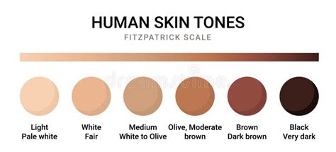 Skin Tone Color Chart Human Skin Texture Color Infographic Palette