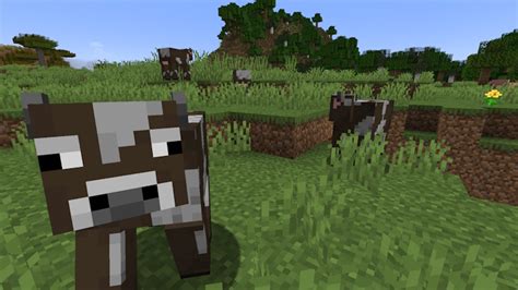 How To Breed Cows In Minecraft Easy Guide The Paradise News