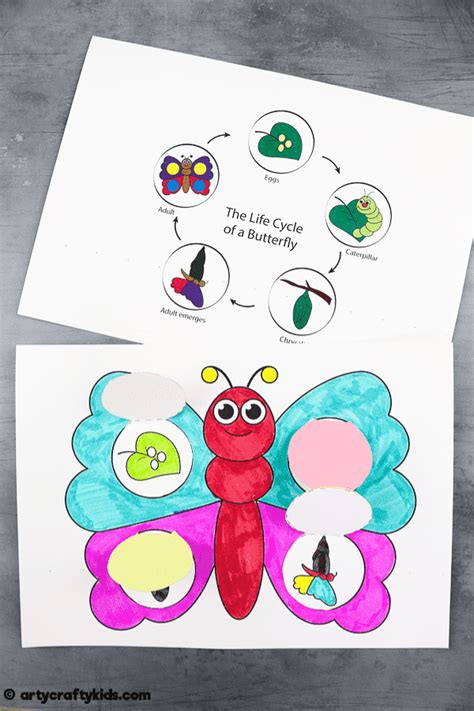 Butterfly Life Cycle Craft - Arty Crafty Kids