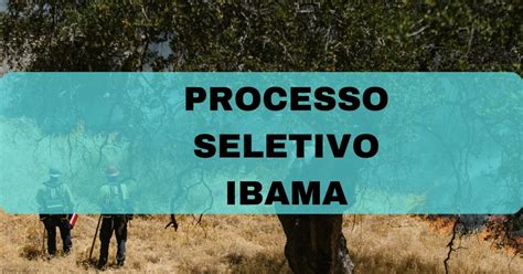 Ibama Abre Processo Seletivo Vagas