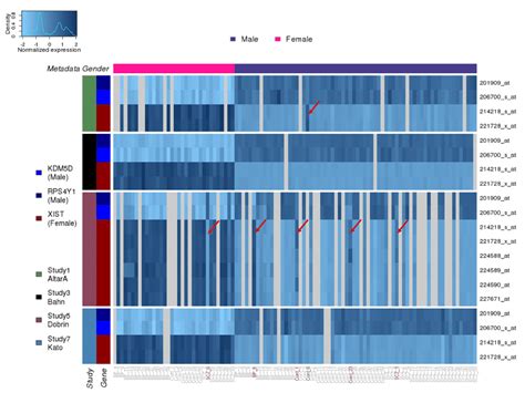 Gene Based And Metadata Based Sex In Four Datasets Of Similar Subjects Download Scientific