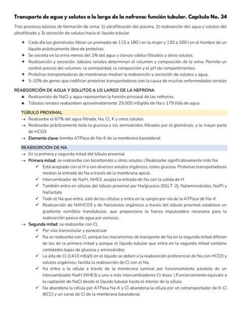 Transporte De Agua Y Solutos A Lo Largo De La Nefrona Funci N Tubular