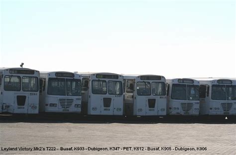 Eastern Cape Buses