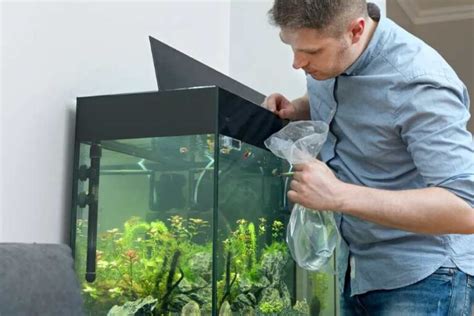 How To Properly Acclimate New Fish To Your Tank Enjoy The Pets