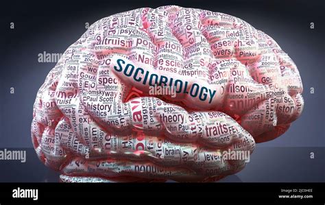 Sociobiology in human brain, hundreds of crucial terms related to ...