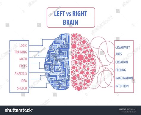 left  brain logic imagination table stock vector royalty
