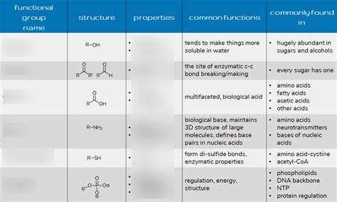 Wolf Ap Biology Unit Biological Functional Groups Diagram Quizlet