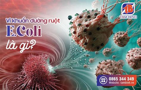 Vi khuẩn đường ruột E.Coli: Nguyên nhân gây tiêu chảy bạn cần biết