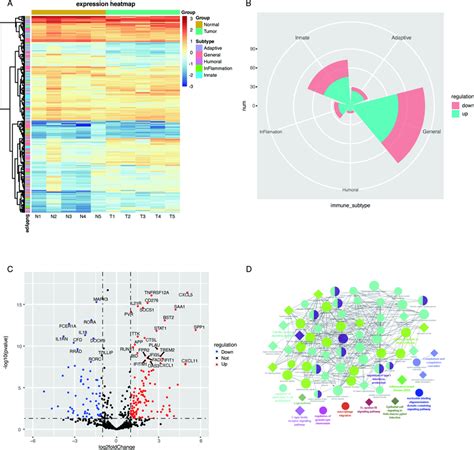 Differentially Expressed Immune Signatures In Head And Neck Squamous