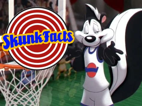 15 stanky yet salient facts about skunks