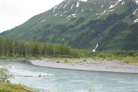 The Harris Herd: Cook Inlet, Volcanoes and Welcome to Homer!