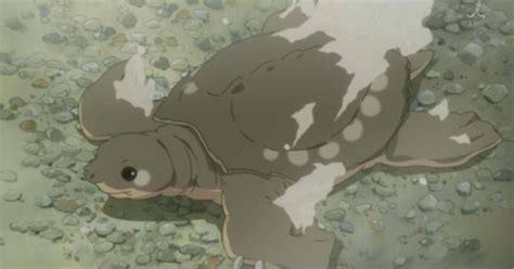 The 15+ Best Anime Turtle Characters