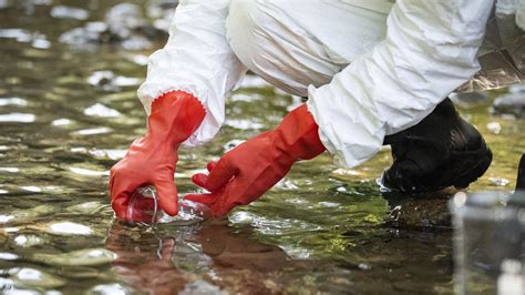 Más 5500 Millones De Personas Estarán Expuestas A Aguas Contaminadas