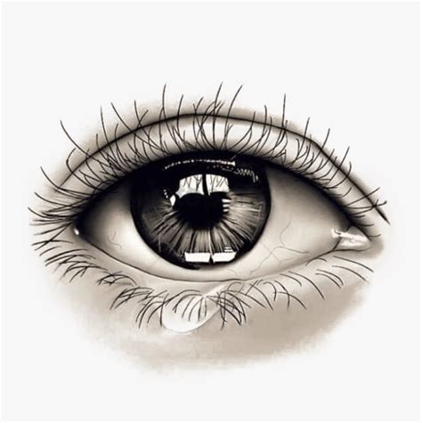 Transparent Png Eye - Realistic Design Eye Tattoo, Png Download ...