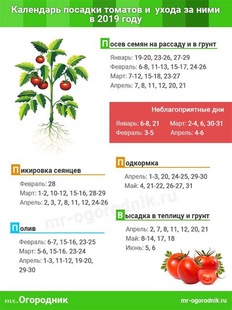 Лунный календарь для посева помидор 2024