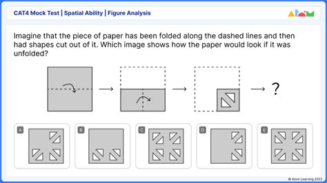 What S The Cat Test And How To Prepare Atom Learning