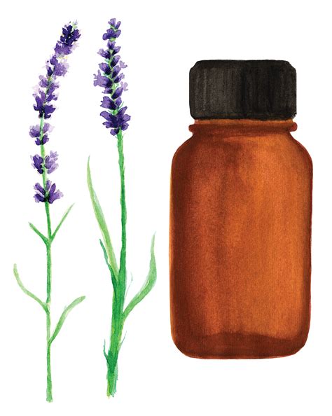 how to create essential oil 2