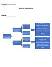 Nur Healthcare Disparities Concept Map Template Edited Docx