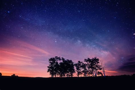 Wallpaper Silhouette Of Trees Under Blue Sky During Night Time