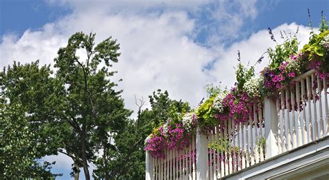 Balcony Flowers Garden Mid Summer - Free photo on Pixabay