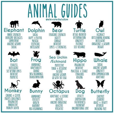 Spirit Animal List Artofit