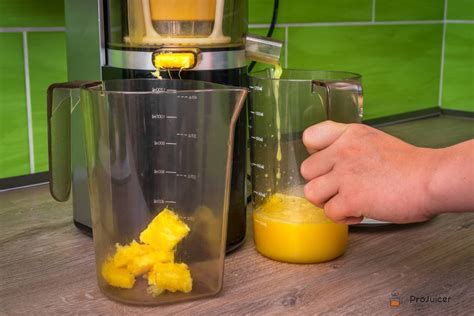 Everything About Cold Press Juicers