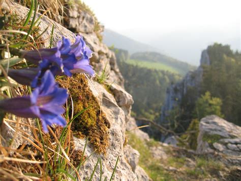 schönsten Wanderungen in Les Enfers Outdooractive