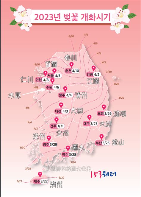 【韓國釜山櫻花2025】釜山賞櫻、大邱賞櫻，周邊城市賞櫻景點＆一日遊完整攻略懶人包，含：花期預測、順遊推薦、住宿懶人包（附：鎮海賞櫻、慶州賞櫻